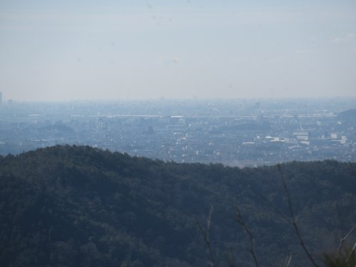 登山道